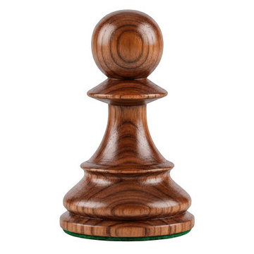 decouverte pion